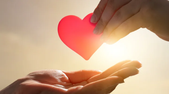 © unsplash © unsplash