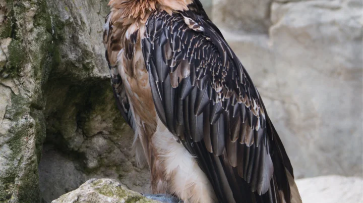 © DAV Würzburg © DAV Würzburg