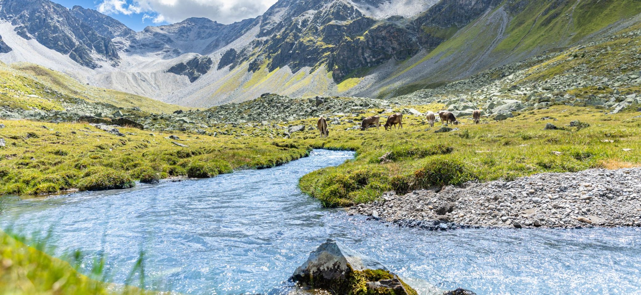 Ursprüngliche Natur mit Bergen, Wiesen und Flüssen | © DAV/Franz Güntner
