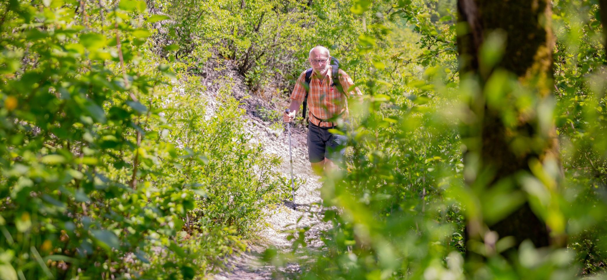 Ein Wanderer läuft auf einem schönen Wanderweg einen Berg hinauf | © DAV Wuerzburg